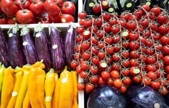 Macfruit 2 cb97002e - Meraviglie di Calabria - 1