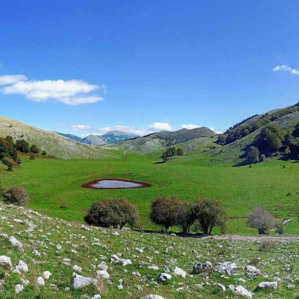 Violino Pollino, l’identità sonora del Parco più grande d’Italia