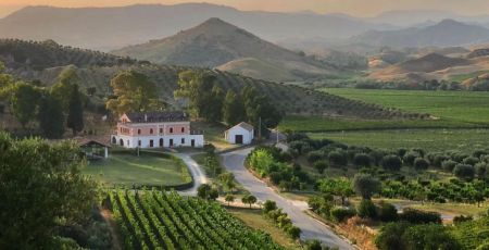 WhatsApp Image 2024 06 09 at 12.09.30 cb58284f - Meraviglie di Calabria - 19