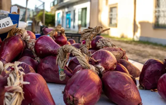 cipolla tropea cb169639 - Meraviglie di Calabria - 1