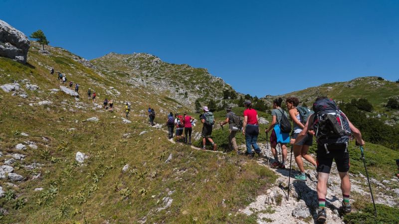 Tanti luoghi, tante storie, un solo festival: ecco il Festival Pollino-Sybaris