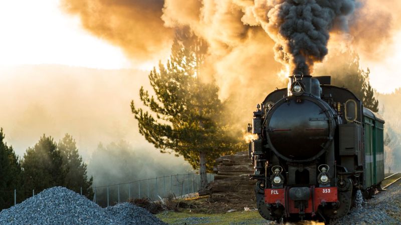 treno a vapore Sila 3 cc8a35d7 - Sbuffi d’estate sull’altopiano, tornano le avventure con il Treno della Sila - 1 Sbuffi d’estate sull’altopiano, tornano le avventure con il Treno della Sila