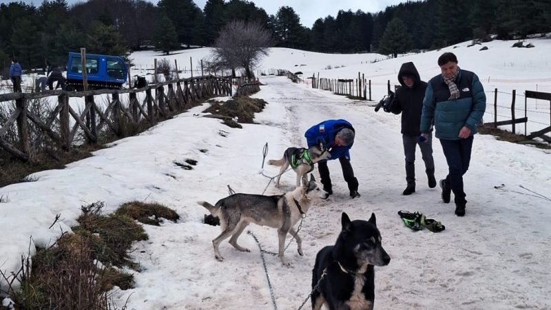 “Dog on the Snow”, due giornate indimenticabili in Sila – FOTO