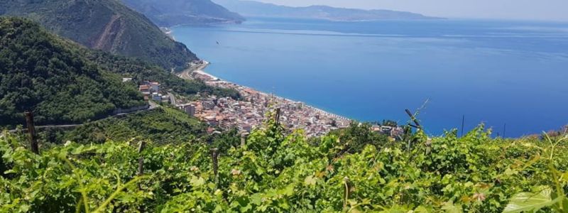 “L’Eroico” di Bagnara re dei vini estremi al Mondiali in Valle D’Aosta