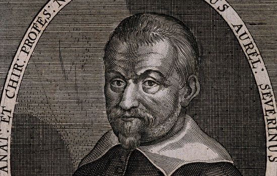 Marco Aurelio Severino a ce7619fb - Meraviglie di Calabria - 1