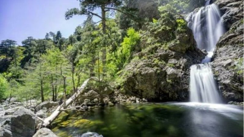 cascate menta amendolea parco aspromonte 2 1 ce40d000 - Il Parco dell'Aspromonte festeggia 30 anni, un calendario ne celebra le bellezze - 1 Il Parco dell’Aspromonte festeggia 30 anni, un calendario ne celebra le bellezze
