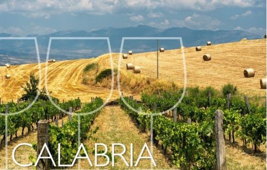tre bicchieri calabria 1 ce544bd7 - Meraviglie di Calabria - 1