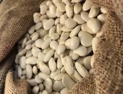 Fagioli Pappaluni d’Aspromonte, oggi la presentazione a Delianuova