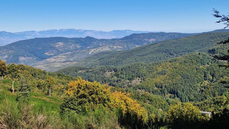 Sila 9 d0bbd6ec - Fuori binario, su Rai 5 il viaggio in treno dallo Jonio alla Sila - 1 Fuori binario, su Rai 5 il viaggio in treno dallo Jonio alla Sila