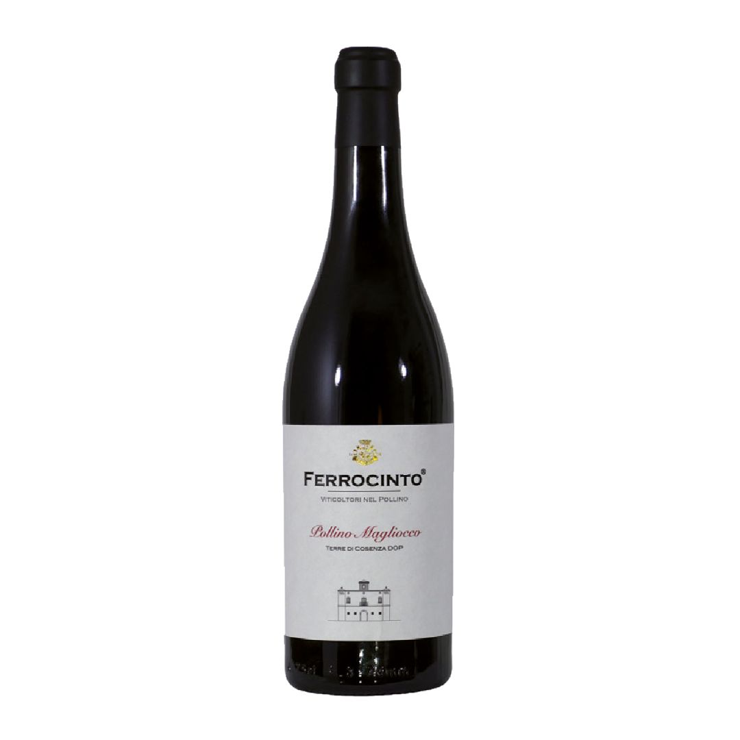Acquista online Vino Pollino Magliocco (Confezione da 6 pz) – Ferrocinto
