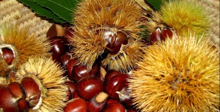 castegne 6 d266e697 - Meraviglie di Calabria - 47