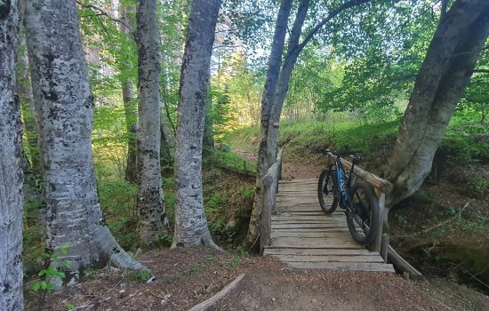 BICI ITINERARI 2 1 scaled d4ef2ccd - Meraviglie di Calabria - 21