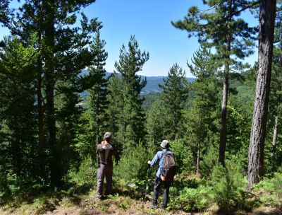DSC 0038 scaled d4089a62 - Home - 11 Dove la Sila ritrova l’anima. Da Torre Petrone al Montenero