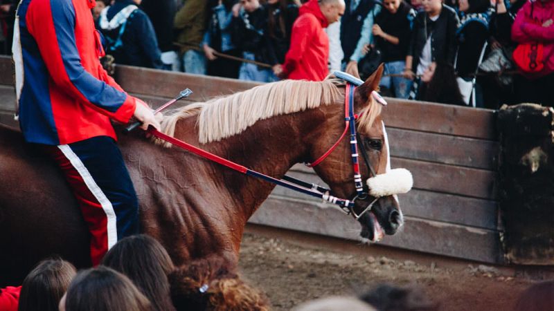Palio di Bisignano tra storia e competizione