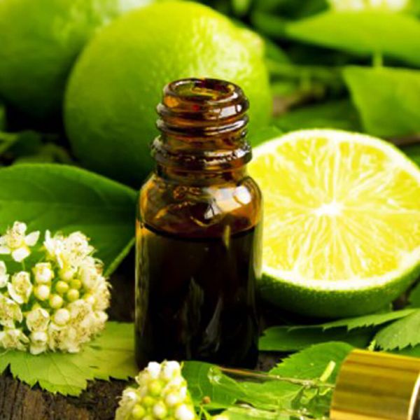 Profumi femminili? Per Marie Claire quelli al bergamotto di Reggio Calabria tra i migliori