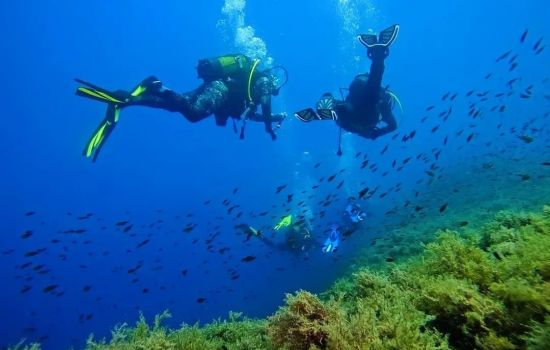 Mare sub Ph @francescoilmicio b d5f280fe - Meraviglie di Calabria - 3