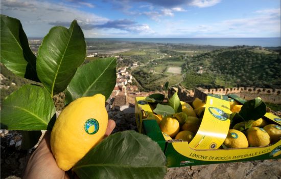 332089895 508525828131979 8834356726964896864 n d6889cd8 - Meraviglie di Calabria - 22