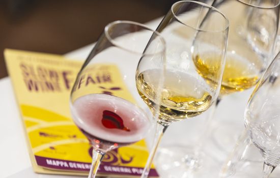 Slow Wine Fair Michele Purin Web 179 d6e6e0a1 - Meraviglie di Calabria - 5