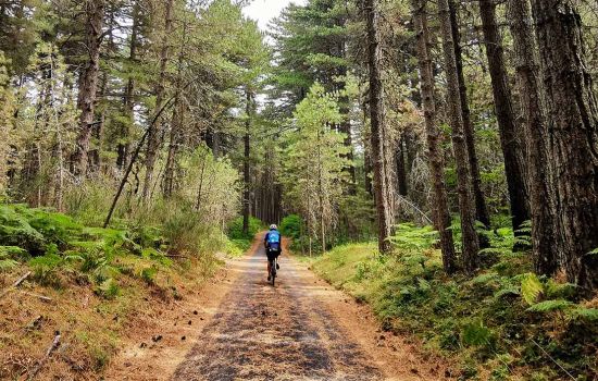ciclovia calabria Aspromonte %C2%A9paolociaberta d722fc7b - Meraviglie di Calabria - 31