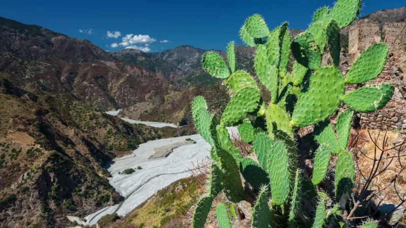 Aspromonte aula all’aperto, intesa per la ricerca con l’Ateneo reggino