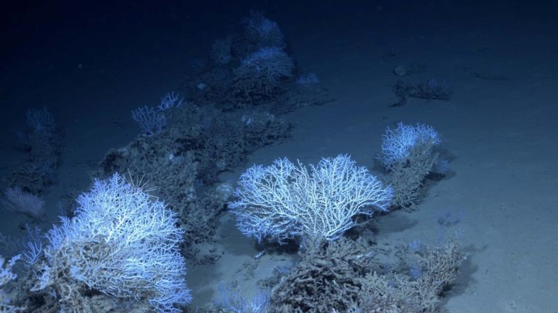 Mare progetto MER scaled e1761476551496 d8fda66c - Un sensore nello Ionio per ascoltare la voce del mare - 1 Un sensore nello Ionio per ascoltare la voce del mare