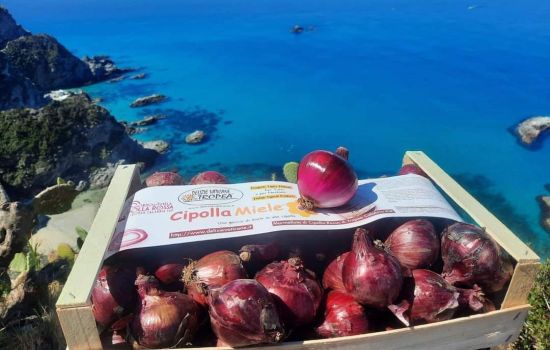 cipolla copertina d8fb7fe9 - Meraviglie di Calabria - 29