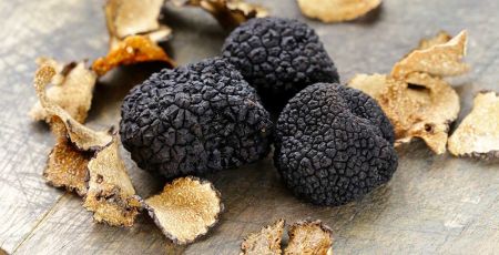 citta del tartufo e1712309959463 d881df23 - Meraviglie di Calabria - 38