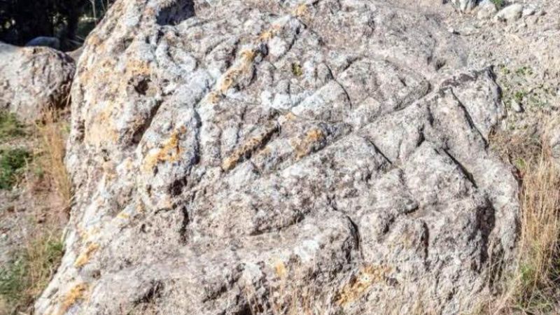 434332516 2711744528983600 3119182342680268421 n d9b685b6 - La stele di Mitra a Melito Porto Salvo, un patrimonio da salvare - 1 La stele di Mitra a Melito Porto Salvo, un patrimonio da salvare