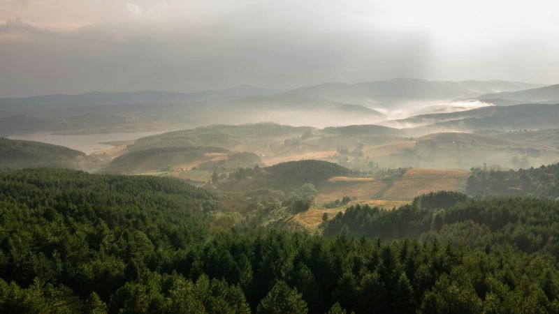 Sila Ph francesco liotti scaled da353eef - Cooperazione Italia-Grecia, Sila e Aspromonte nel progetto NATURES - 1 Cooperazione Italia-Grecia, Sila e Aspromonte nel progetto NATURES