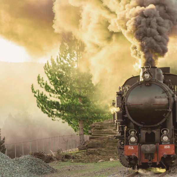 Lungo il tragitto, un pezzo di storia ferroviaria calabrese