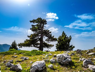 Montagna e comunità protette, nasce il Premio “Custodi del Pollino”