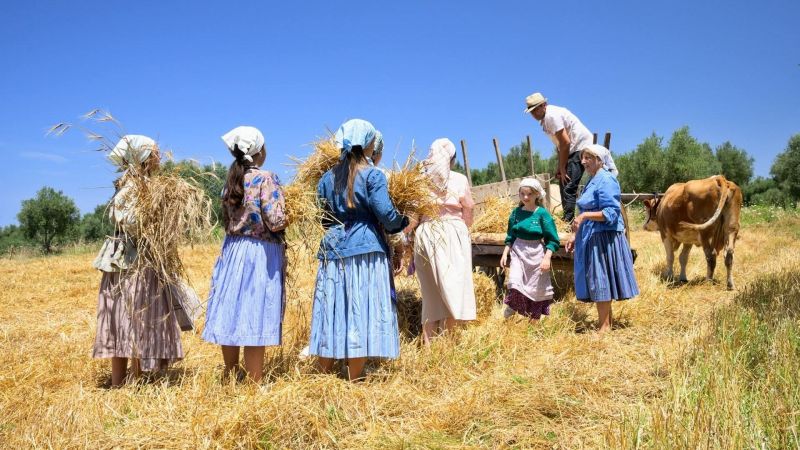 Nel nome del Secrìa, Festa della Mietitura a Pellegrina di Bagnara