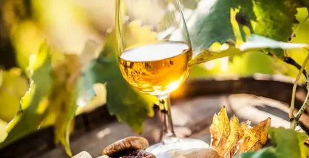 passito saracena presidio slow food dc03d145 - Meraviglie di Calabria - 15