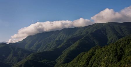Parco nazionale della Sila