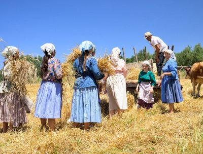 Nel nome del Secrìa, Festa della Mietitura a Pellegrina di Bagnara