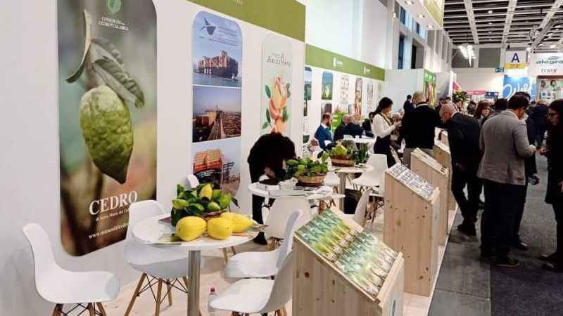 426626956 885769686881499 7463512243213912753 n e1707738499516 e0540daf - Fruit Logistica di Berlino, il Cedro di Santa Maria grande protagonista - 1 Fruit Logistica di Berlino, il Cedro di Santa Maria grande protagonista
