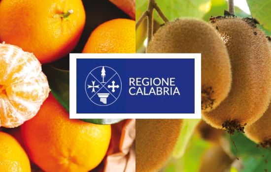 pagina 141 italian retailer business lounge e00dd1bc - Meraviglie di Calabria - 11
