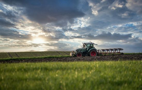 agricoltura campo trattore e1c583aa - Meraviglie di Calabria - 3
