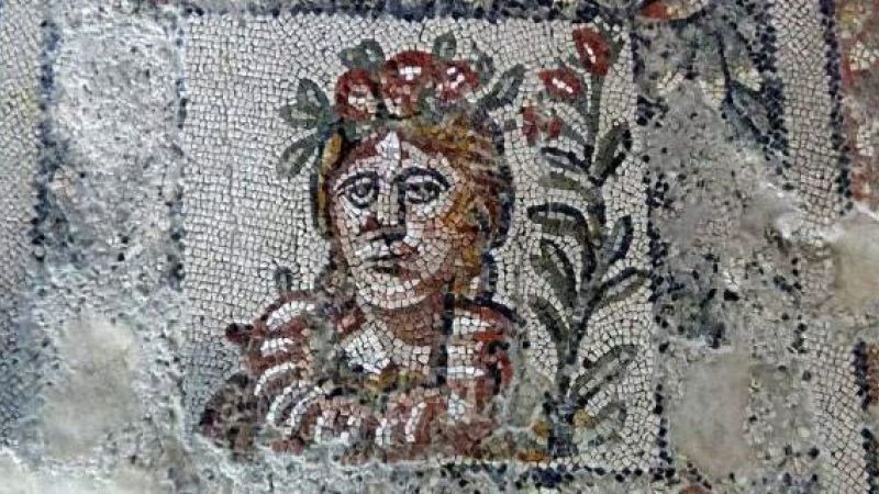 ICCD14362301 1800167031 5 e1712332979774 e237f6ce - Villa romana di Casignana verso il restyling, affidati i lavori - 1 Villa romana di Casignana verso il restyling, affidati i lavori