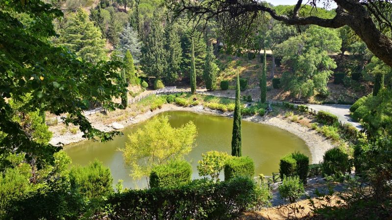 pineta siano e39f0506 - Catanzaro, entro l'estate la riapertura della Pineta di Siano - 1 Catanzaro, entro l’estate la riapertura della Pineta di Siano