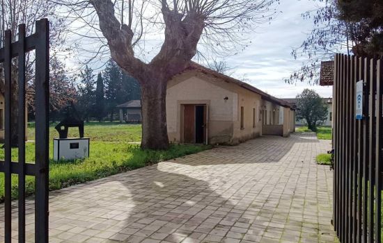 85bf615b 7fcf 42d3 9625 10289b6b15b7 large 1 e475e391 - Meraviglie di Calabria - 13