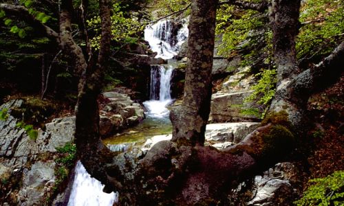 Aspromonte Cascata del salto del cervo e4237643 - Meraviglie di Calabria - 12
