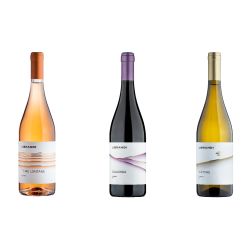 Vino Box Mista (Confezione da 6 pz) – Azienda vinicola Librandi