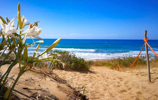 Sovereto spiaggia Gigli ph Another Beach Project 3cover e5342788 - Meraviglie di Calabria - 1