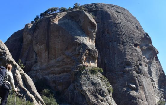 I5057. Aspromonte. Pietra Cappa. Ph F. Bevilacqua scaled e1712903222521 e6f22948 - Meraviglie di Calabria - 29