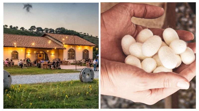 La seta e i grani antichi di San Floro in Camper su Rai 1
