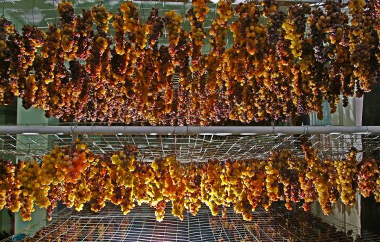 vino passito uva cantine viola saracena 0 e6fa0d2b - Meraviglie di Calabria - 5