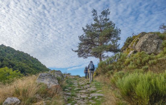 cammino e7d8c0db - Meraviglie di Calabria - 1
