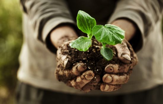 coltivare agricoltura contadinoFotolia 54141149 Subscription Monthly M e1712237879730 e7a3b3d5 - Meraviglie di Calabria - 5