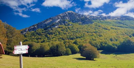 parco nazionale pollino e735159c - Meraviglie di Calabria - 41